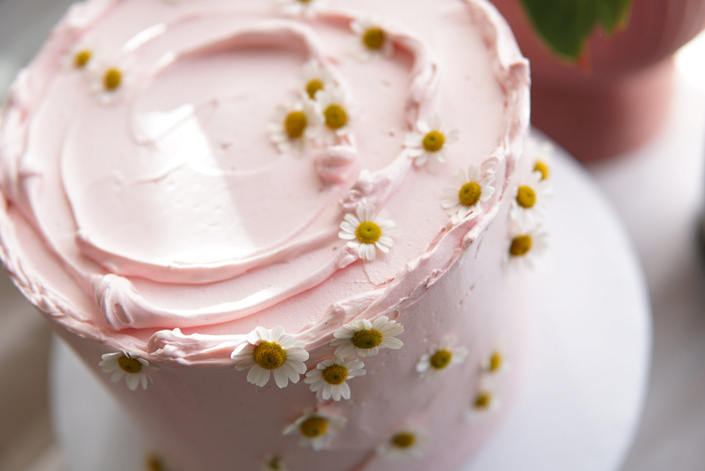 Willow Daisy Cake