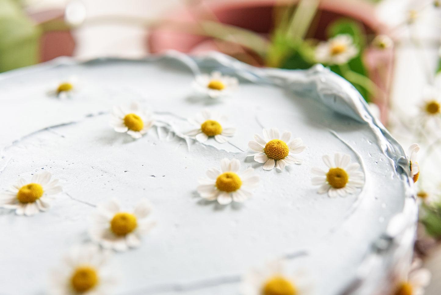 Willow Daisy Cake