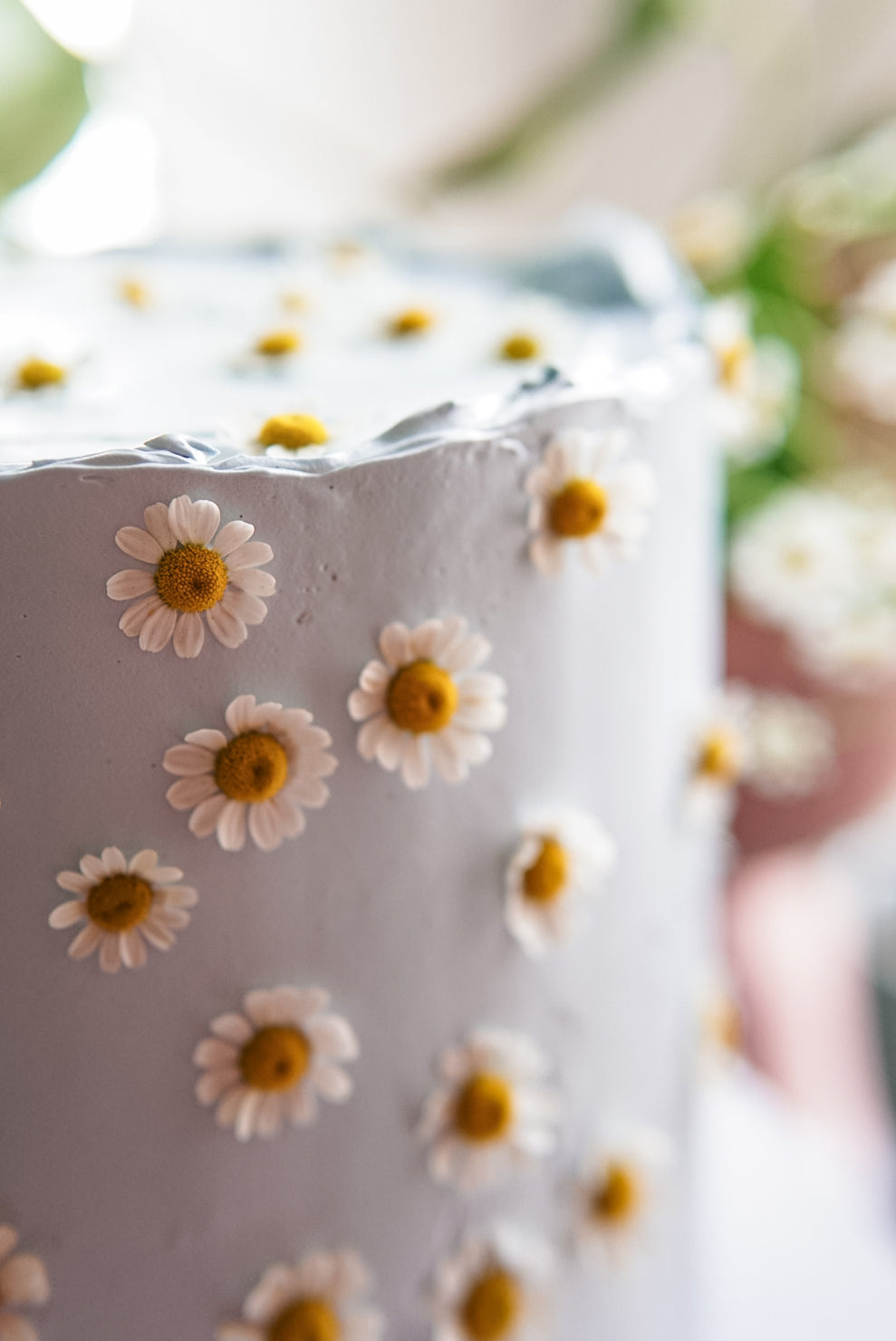 Willow Daisy Cake