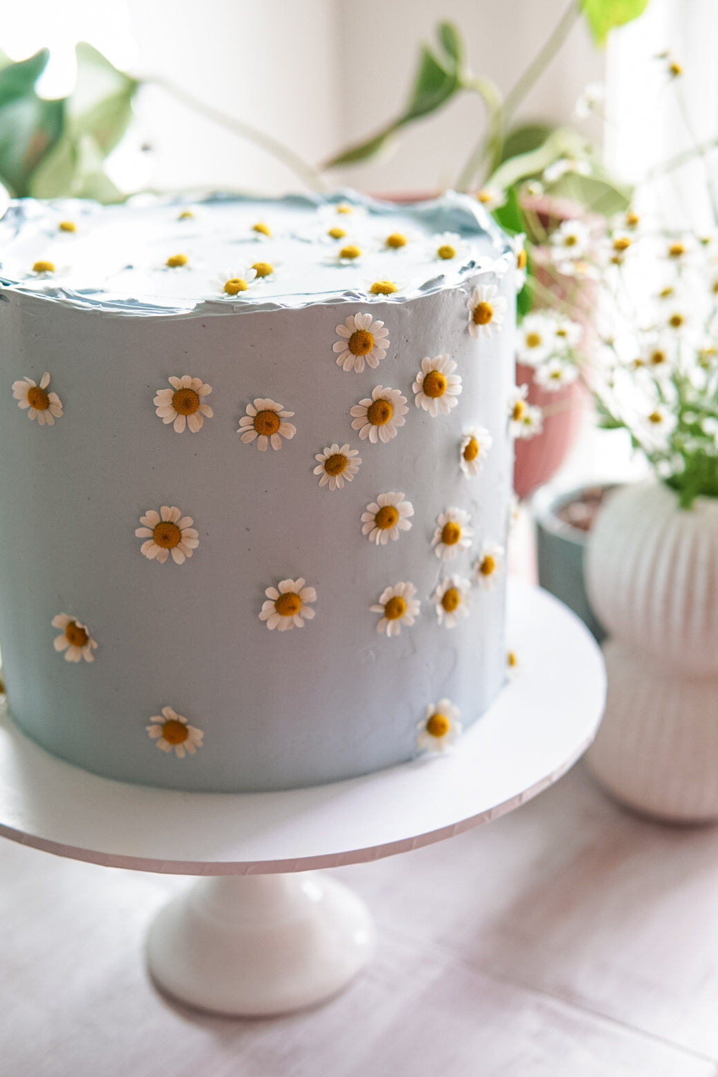 Willow Daisy Cake