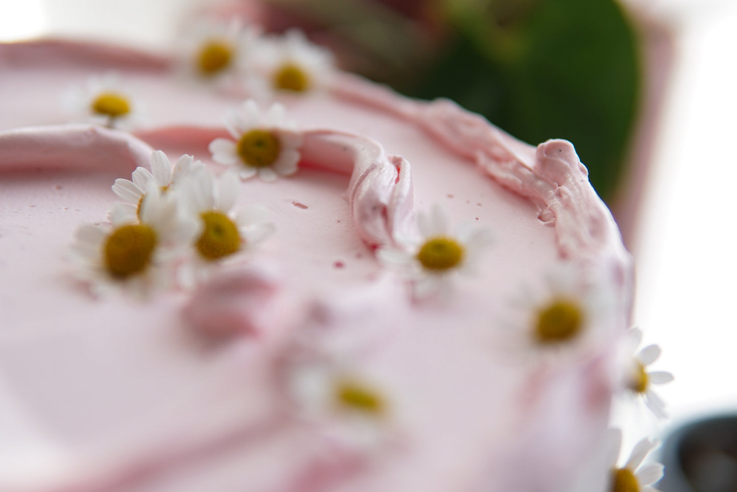 Willow Daisy Cake
